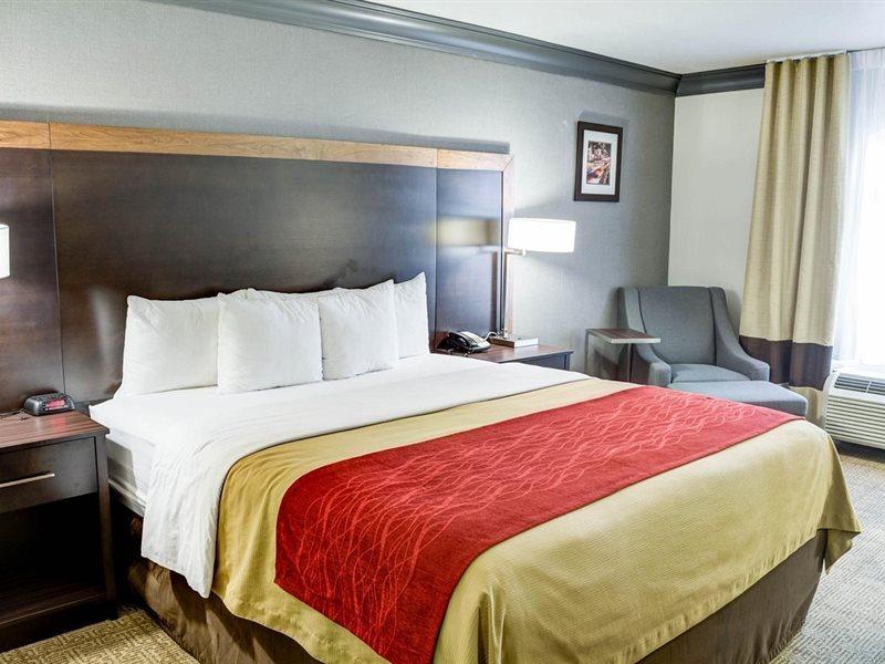 Comfort Inn & Suites Near Universal - N Hollywood - Burbank Los Angeles Exteriör bild